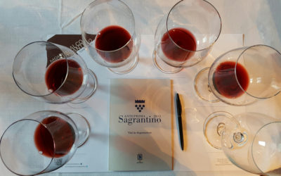 Anteprima Sagrantino 2013: Montefalco vola alto