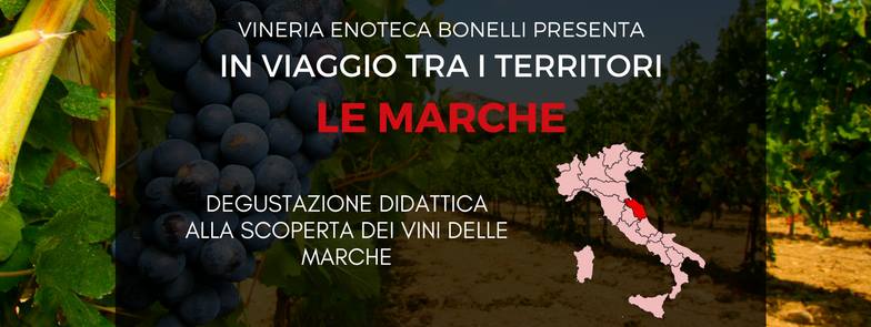 Roma – In viaggio tra i territori: le Marche