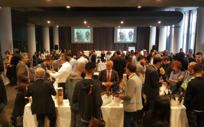 Life of Wine: il vino alla prova del tempo