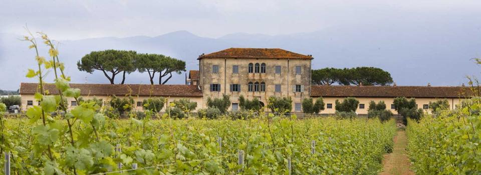 Roma, 30 novembre – I vini del Lazio da Satisfaction