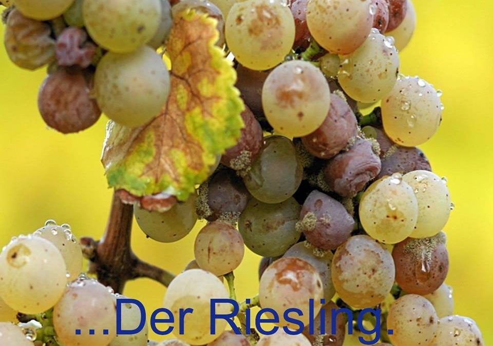 Roma, dal 26 marzo – Percorsi di Riesling da Romeo Chef&Baker