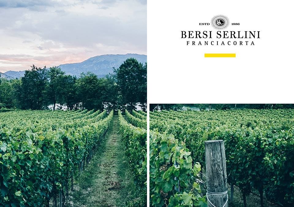 Roma, 15 marzo – Degustazione Bersi Serlini Franciacorta