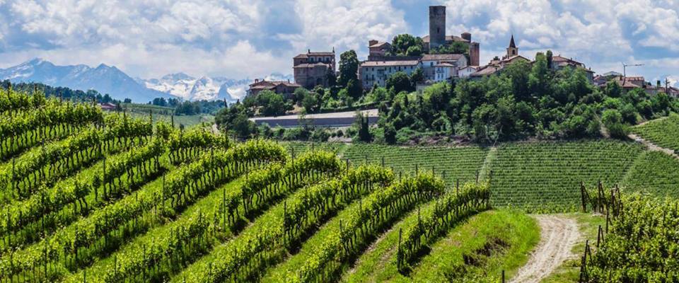 Roma, 22 maggio – Barolo, Barbaresco, Roero & i nebbioli del Nord