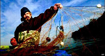 Roma, 14 marzo – Il pesce in 4 cotture e 5 birre