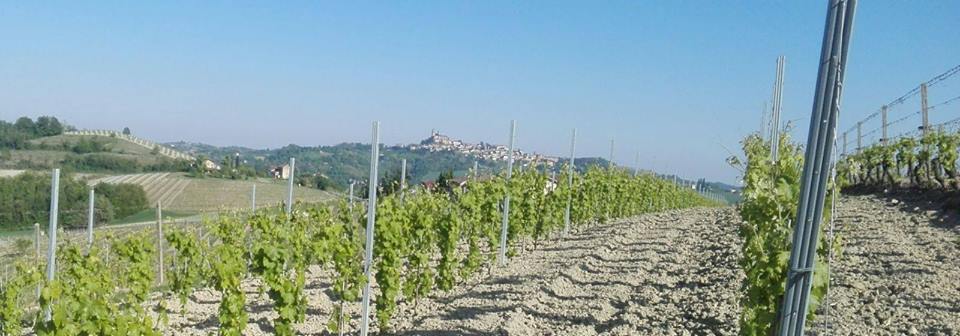 Roma, 22 marzo – Monferrato: Grignolino e Barbera di Marco Canato