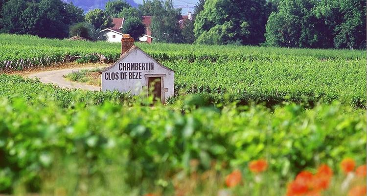 Roma, 9 aprile – Gevrey-Chambertin, struttura senza peso