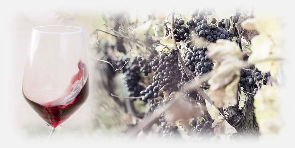 Roma, 13 ottobre – Una storia di vino e passione