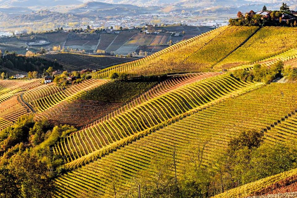Roma, 13 ottobre – Il Piemonte e le Langhe