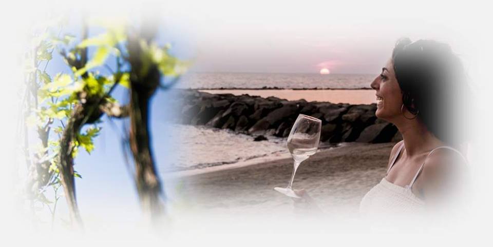 Roma, 10 novembre – I vini di Arianna