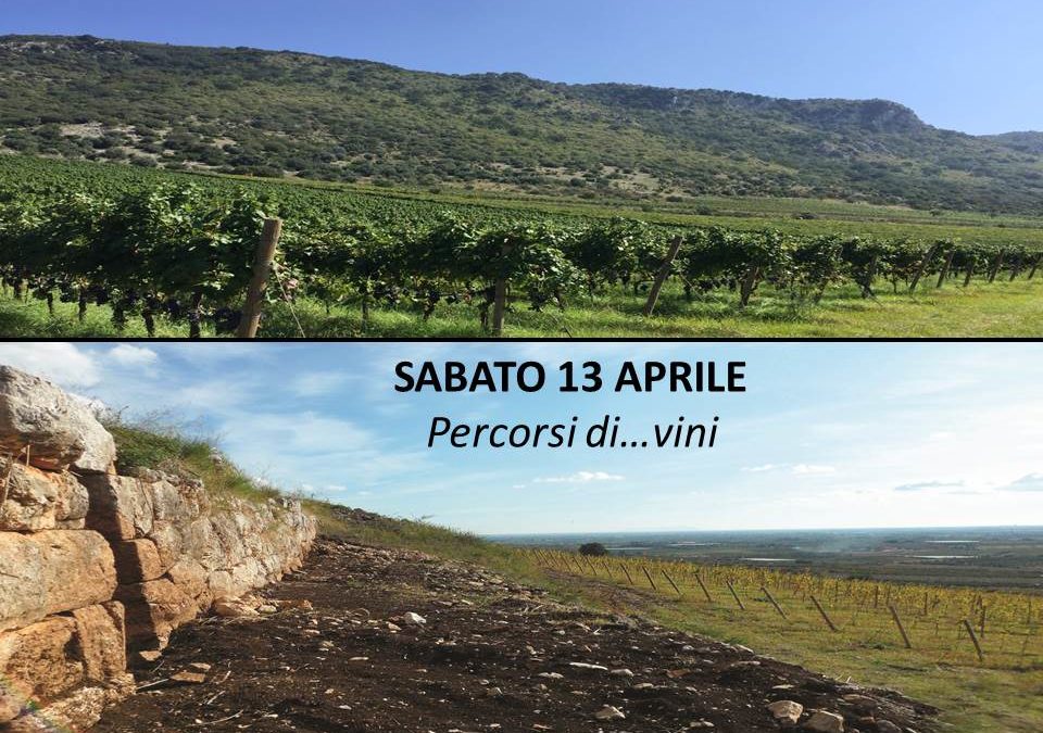 Cori (Rm) – Degustazione azienda Marco Carpineti