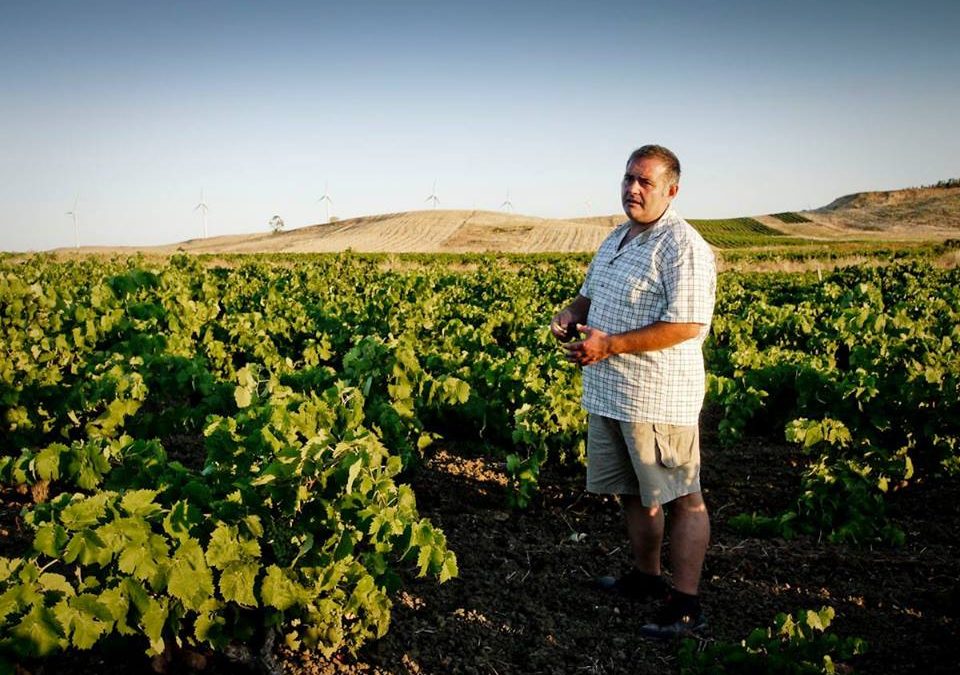 Roma, 20 febbraio – La Sicilia di Vincenzo Angileri e i vini di Viteadovest
