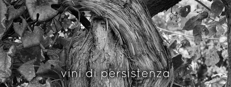 Roma, 8 giugno – Degustazione Vini Salvatore Martusciello
